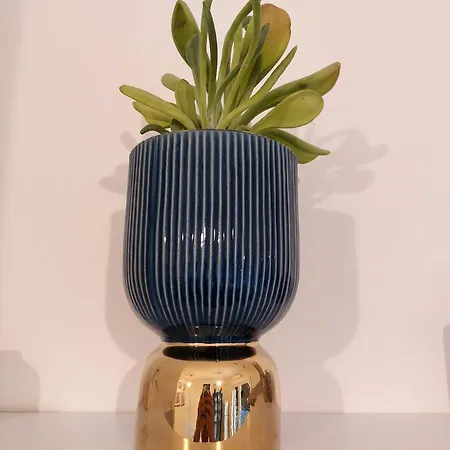 Casa Gemelli Vaticano * רומא